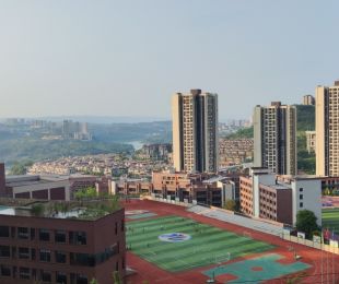 实景图