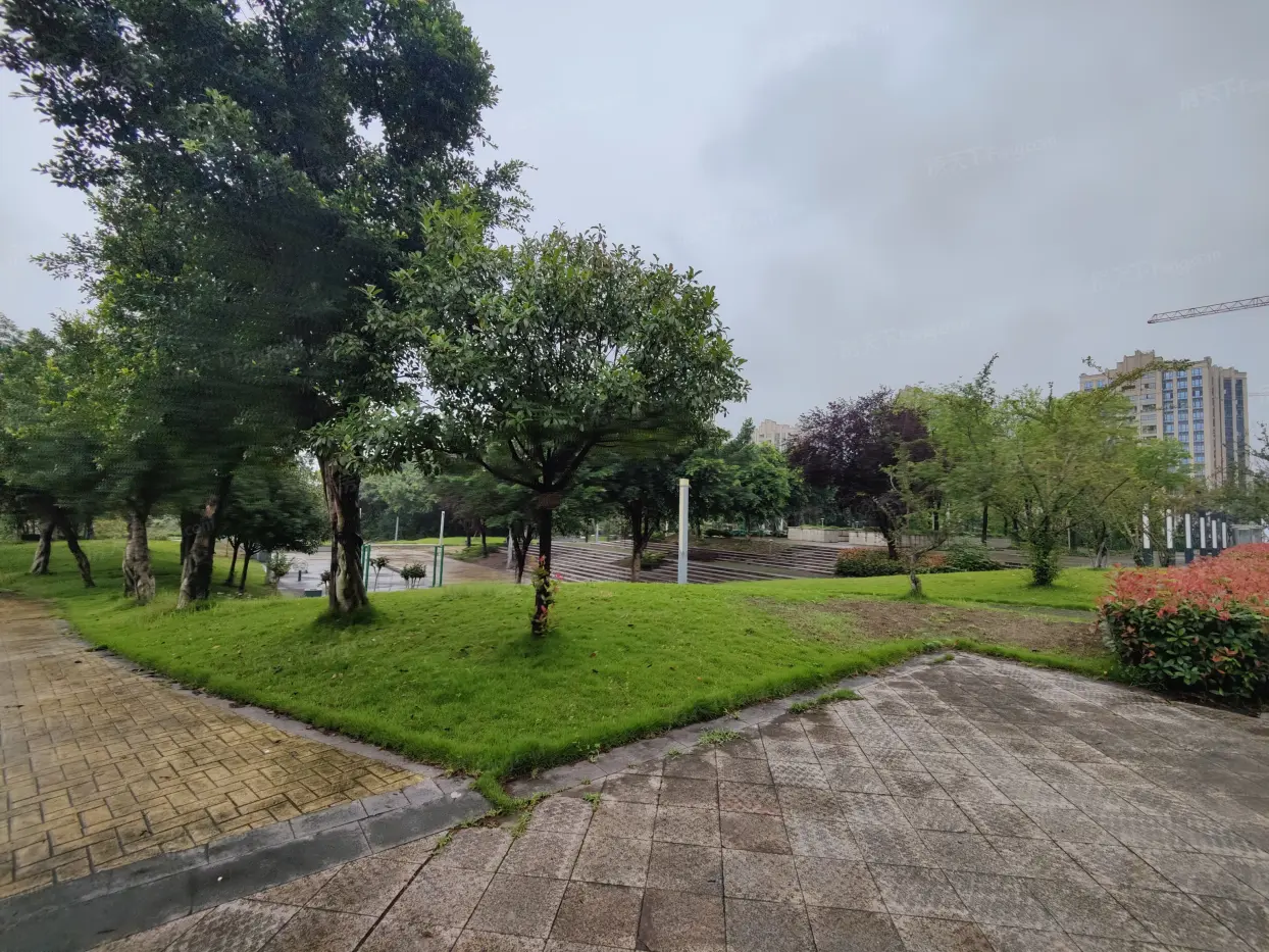 实景图