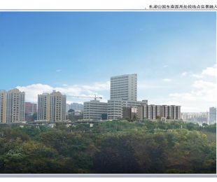 效果图