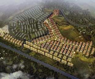 效果图