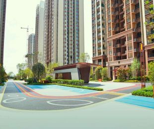 实景图