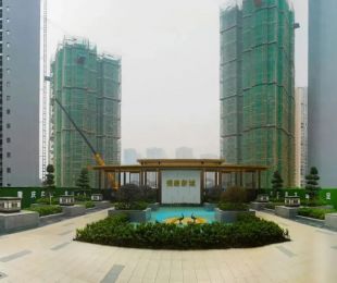 实景图