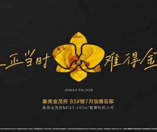 效果图