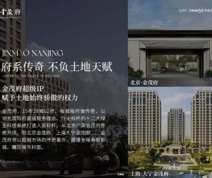 效果图