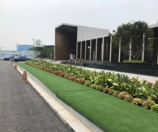 效果图