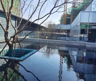 实景图