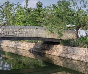 实景图