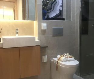 样板图