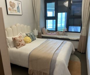 样板图