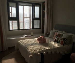 样板图