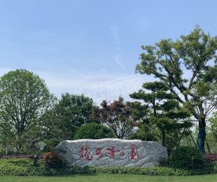 效果图